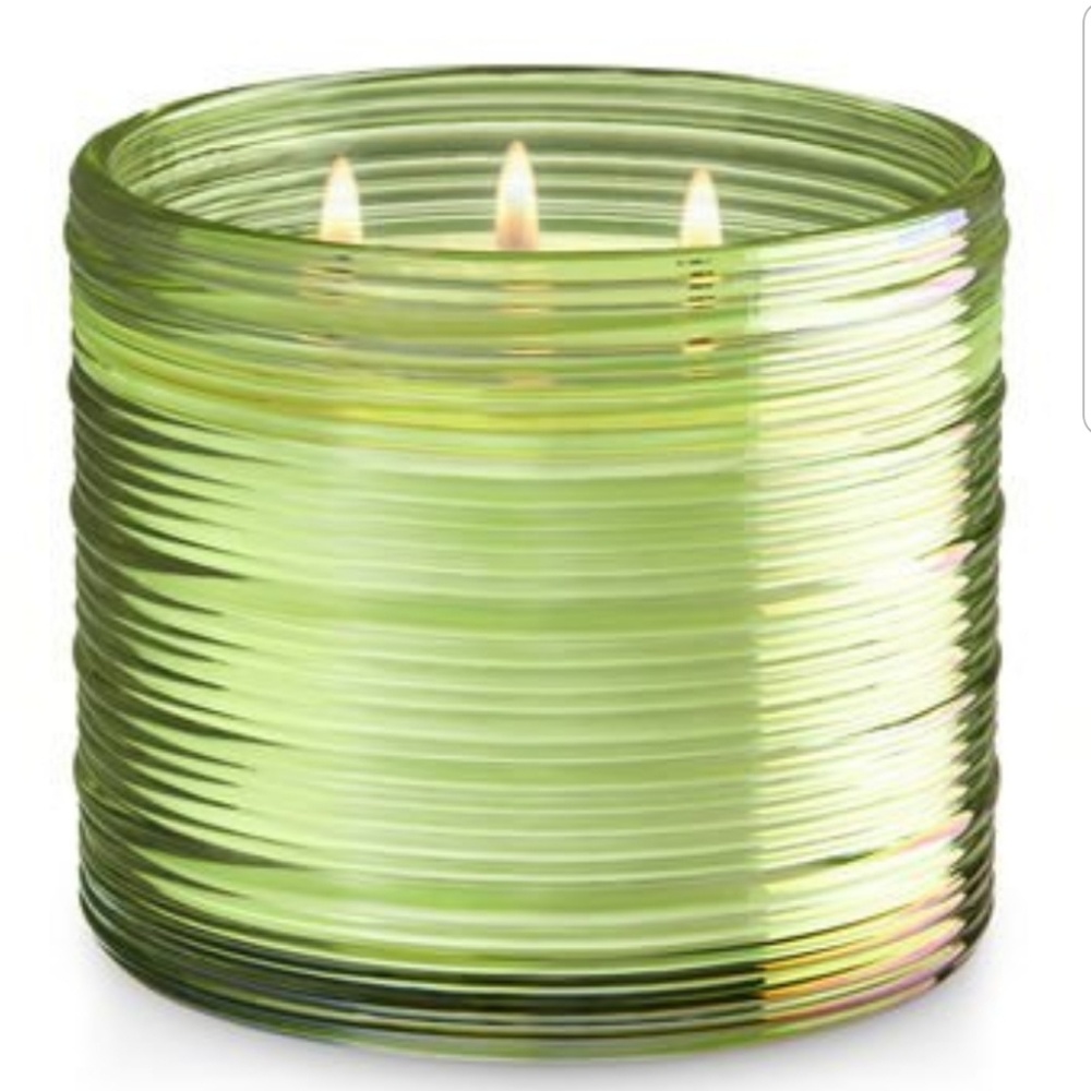1 Bath Body Works PALM LEAVES & MANGO Candle